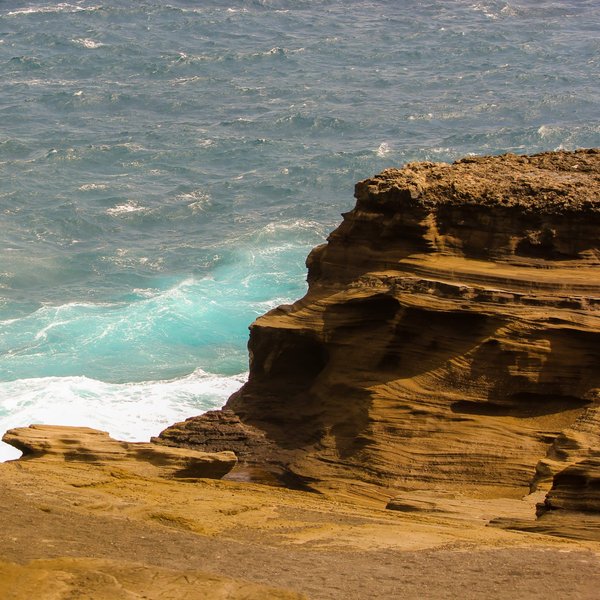 Les secrets de la permaculture : formations pour un jardinage durable